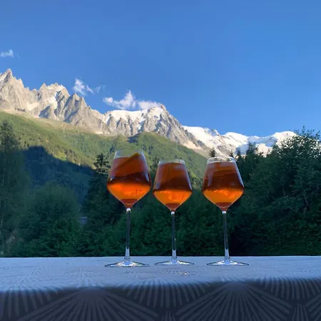 شاليه Le Point De Vue شامونكس