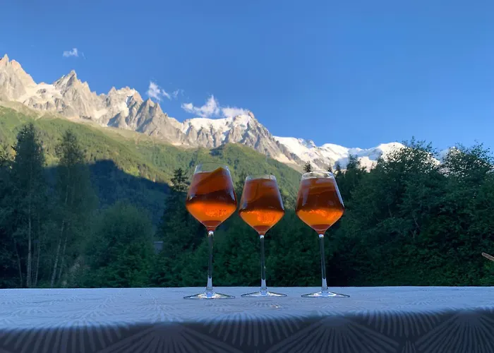 Chalé Le Point De Vue Chamonix