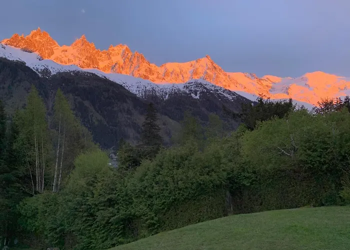 Le Point De Vue *