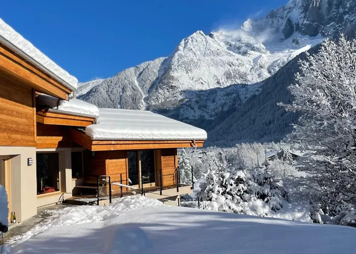 Le Point De Vue Chalé Chamonix