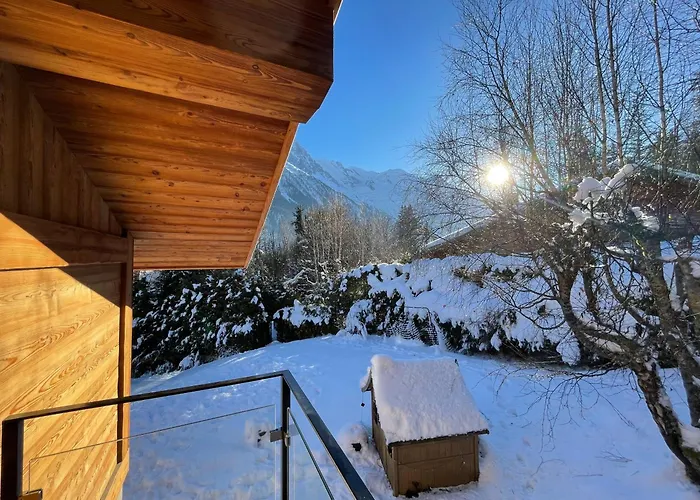 Le Point De Vue
